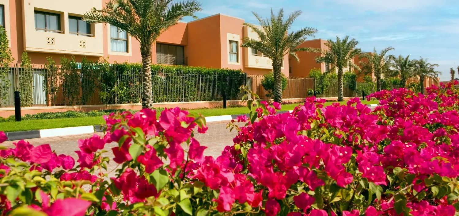 Mangrove Village By Al Ain Holding